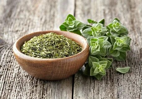تصویر 2 از خرید عمده پونه خشک بالسی + قیمت مناسب و کیفیت صادراتی